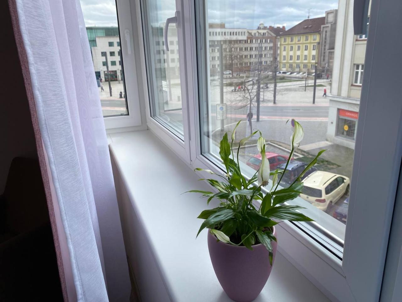Perla Hradce 302 Lejlighed Hradec Králové Eksteriør billede